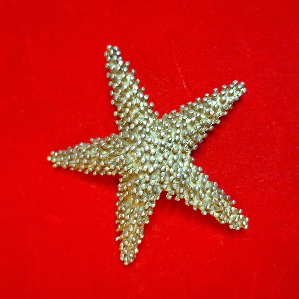 Vintage Gold StarFish Brutalist Large Brooch 3 in. - Picture 2 of 8